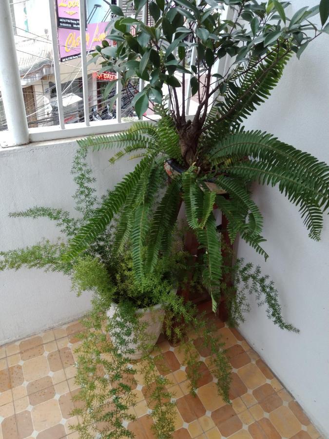 Da Lat 24H Guesthouse & Hotel Bagian luar foto